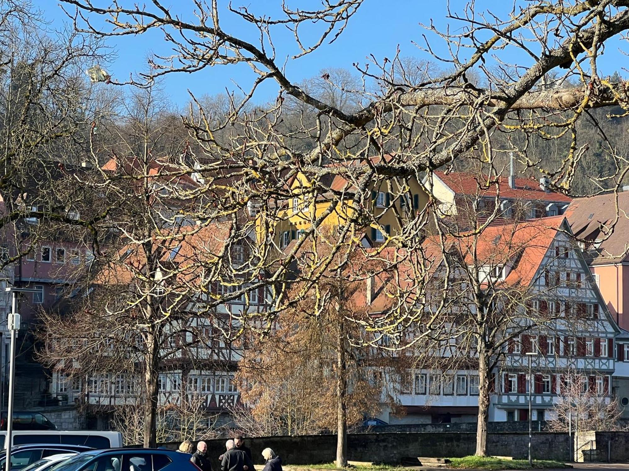 Ferieninrosengarten 1 Zi Appartement 190 Cm Deckenhoehe Oder Grosse 4 Zi Dg Whg Eksteriør bilde